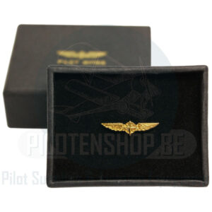 Design 4 Pilots - Pilot Wings small